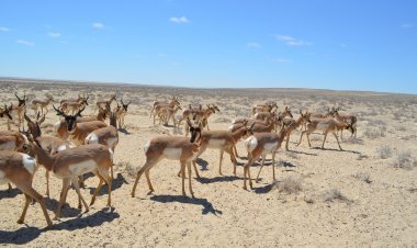 Explora México: 6 Exhubernates Reservas de la Biósfera