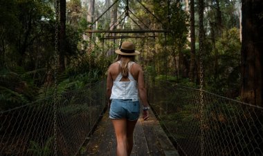 Shinrin Yoku: Absorbe la atmósfera del bosque en la CDMX