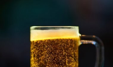 Ruta de la Cerveza en Tecate, Baja California: Un Viaje Mágico