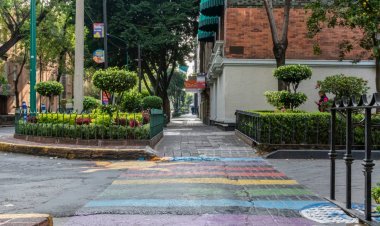 Descubre la Magia de la Zona Rosa de CDMX.