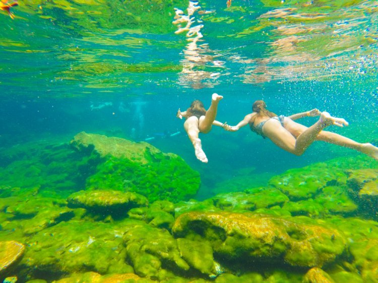 Explora la Riviera Maya en su Camino de los Cenotes