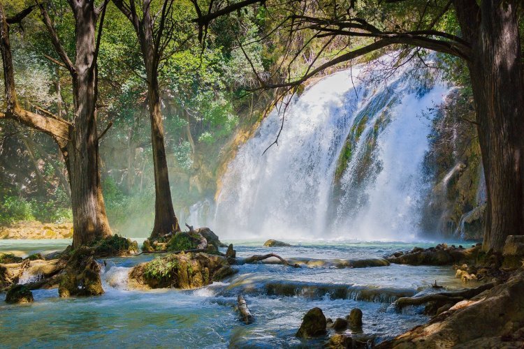 Descubre Chiapas: El Destino de la Cultura