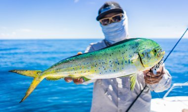 Explora México: Pesca Deportiva al Máximo.
