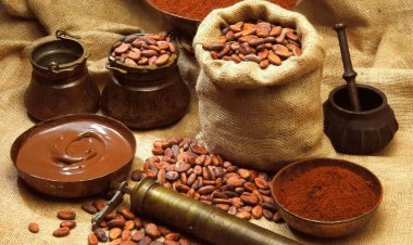 ¡Descubre los Increíbles Beneficios de Comer Chocolate!