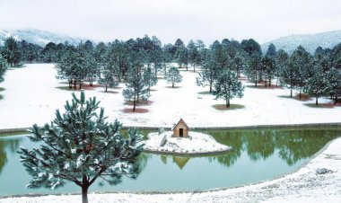 ¡Disfruta la Magia de Navidad en Arteaga!