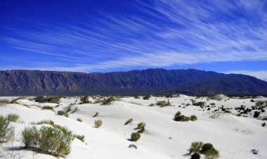 Descubre la Magia del Agua en Cuatro Ciénegas: El Desierto en su Máxima Belleza