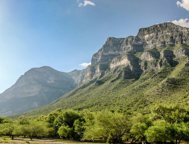 Explora el Jardín Mágico de Bustamante, Nuevo León