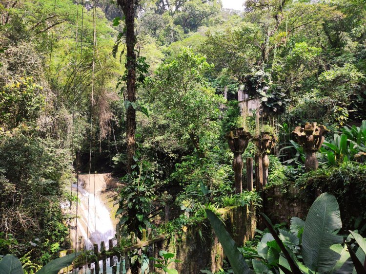 Explora Xilitla: Magia, Arte, Surrealismo y Exuberancia.