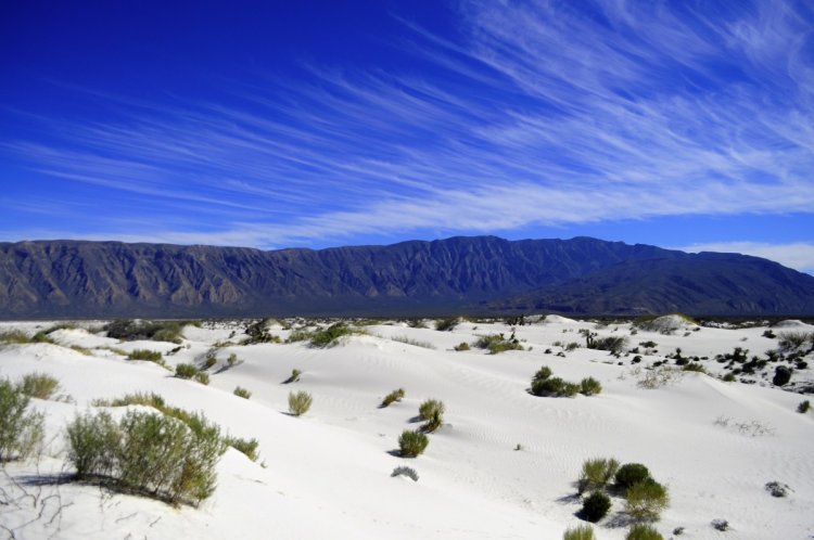 Descubre la Magia del Agua en Cuatro Ciénegas: El Desierto en su Máxima Belleza