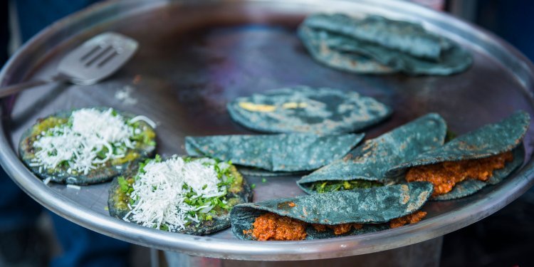 Explora los Sabores de México: 10 Platillos Tradicionales en la Ciudad de México