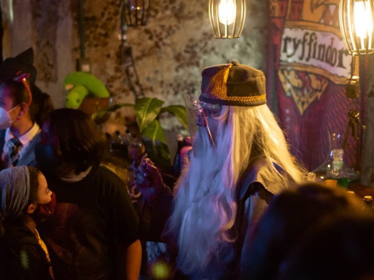 ¡Vive la magia de Harry Potter en un camping cinematográfico!