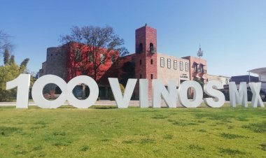 ¡Explora 100 Vinos Mexicanos en el Festival 2022!