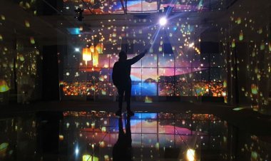 Japan Sense: Vive la magia de Japón en México.