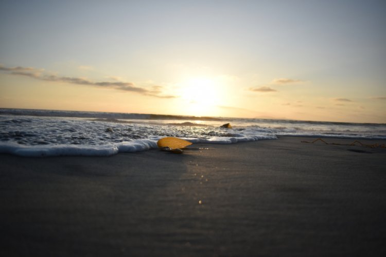 Surfear en México: Descubre las 3 Mejores Playas