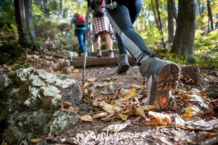 Explora los Encantos de México: Vive el Trekking