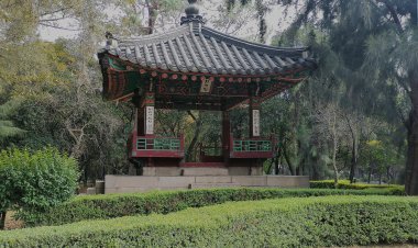 Explora el Corazón de Asia en el Pulmón de la CDMX