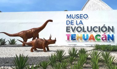 Explora El Museo de la Evolución en Tehuacán, Puebla.