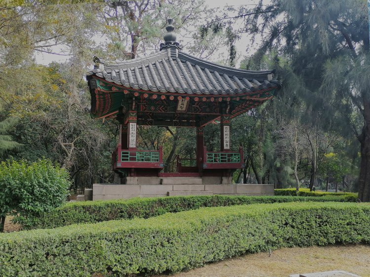 Explora el Corazón de Asia en el Pulmón de la CDMX