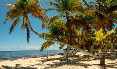 Punta Allen: Un  Misterio del Caribe Mexicano