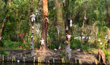 4 Lugares Embrujados de CDMX ¡Descubre su Misterio!