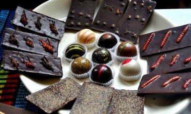 ¡Experimenta el Festival de Chocolate y Café: Saborea el Placer!