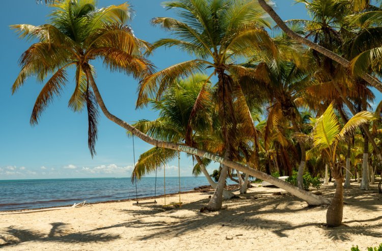 Punta Allen: Un  Misterio del Caribe Mexicano