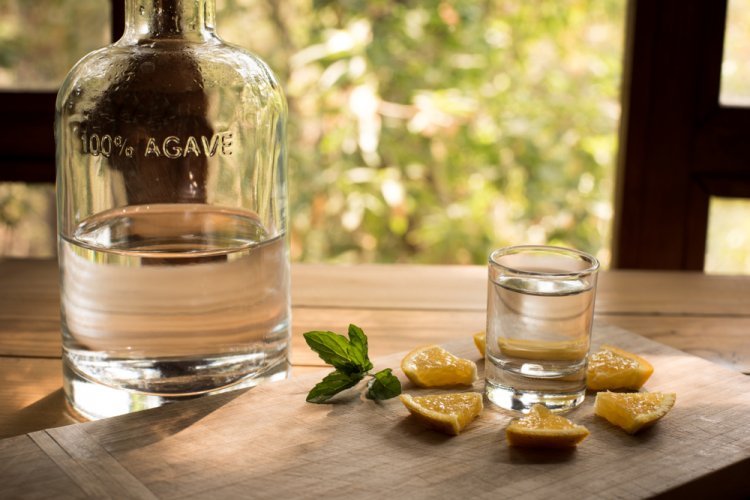 Recorre Las 3 Rutas del Mezcal Más Exóticas de México