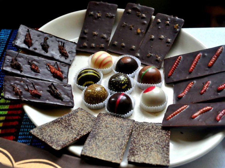 ¡Experimenta el Festival de Chocolate y Café: Saborea el Placer!