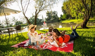 Disfruta un Picnic Mágico en los Mejores Lugares de México.