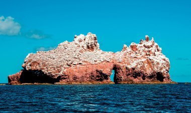Descubre los Islotes: El Refugio del Lobo Marino de Cortés.