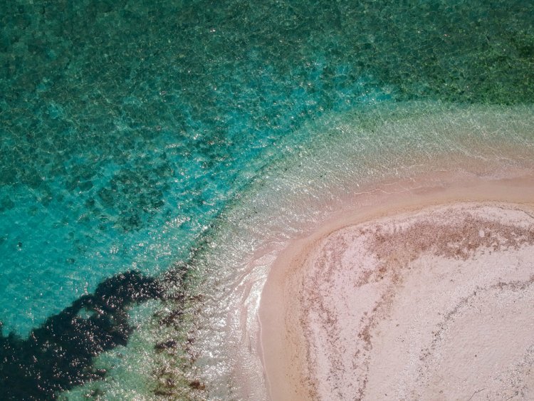 ¡Explora la Magia de la Isla de Enmedio Veracruz!
