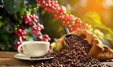 Celebra el Café de México en Veracruz
