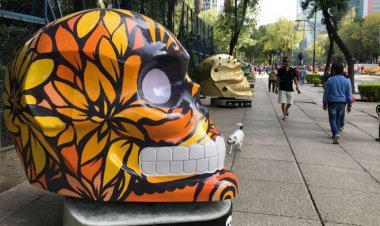 ¡Los Mexicráneos de vuelta a la Ciudad de México!