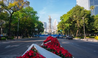 Explora la Magia de la Navidad en la CDMX: Recorrido Histórico.