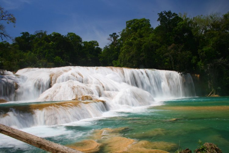 Descubre un pueblo mágico entre la selva, Palenque, Chiapas