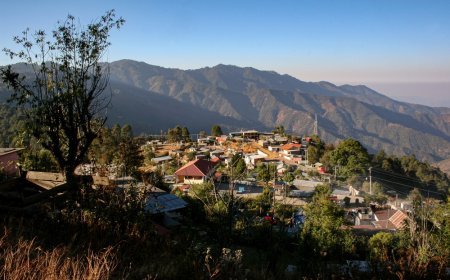 Conoce la Mágia de San José del Pacífico, Oaxaca