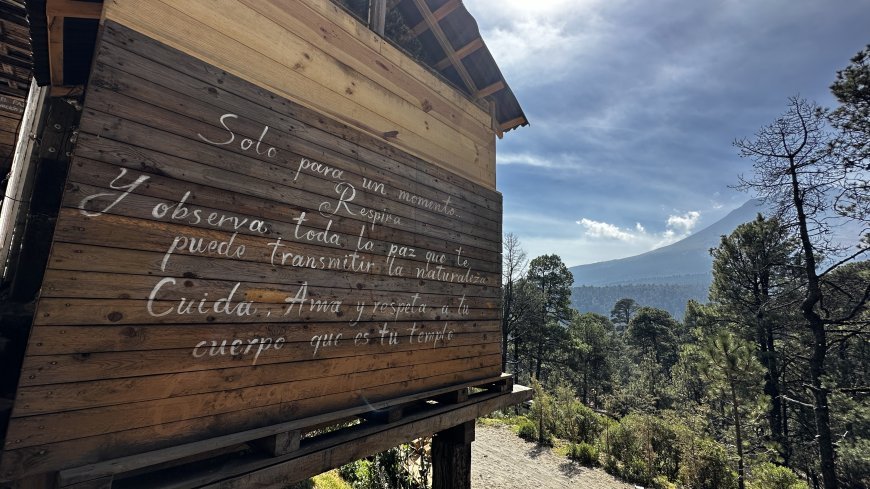 4 cabañas para Reconectar contigo mismo y Desconectarte del Mundo