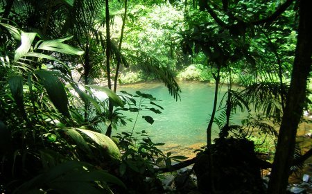 Explora la Reserva de la Biosfera Tuxtlas: ¡Aventúrate en la Naturaleza!