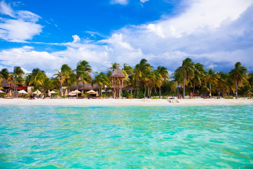Explora los Paraísos Tropicales de la Costa