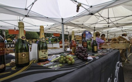 ¡Ven a Disfrutar de la Feria del Queso y el Vino en Tequisquiapan!