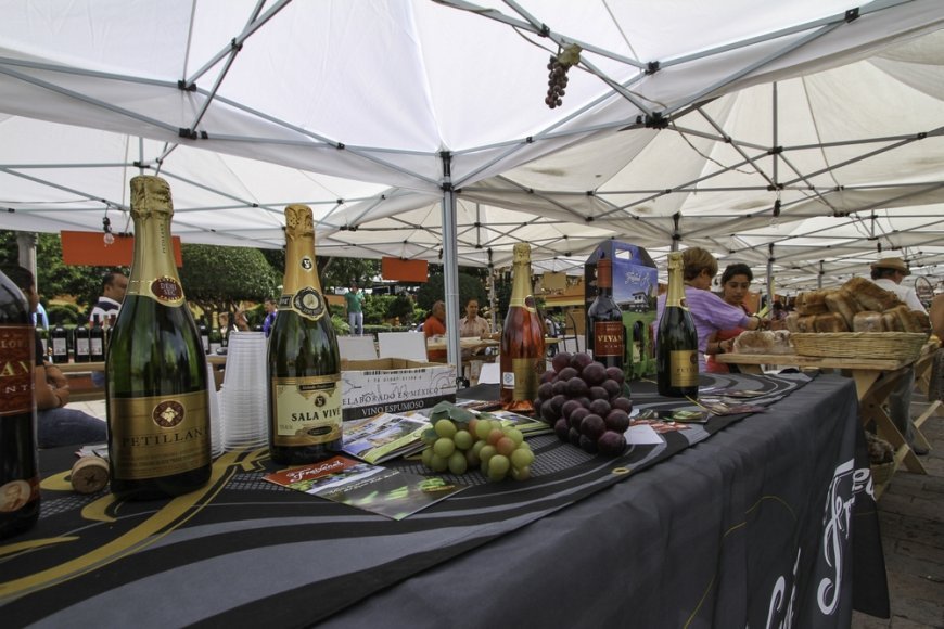 ¡Ven a Disfrutar de la Feria del Queso y el Vino en Tequisquiapan!