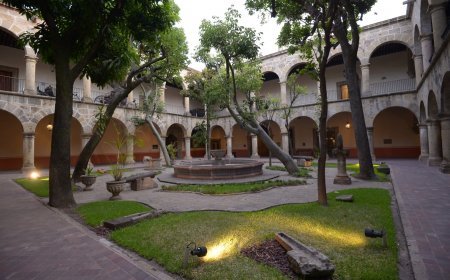 ¡Descubre los Museos Gratis de Guadalajara!