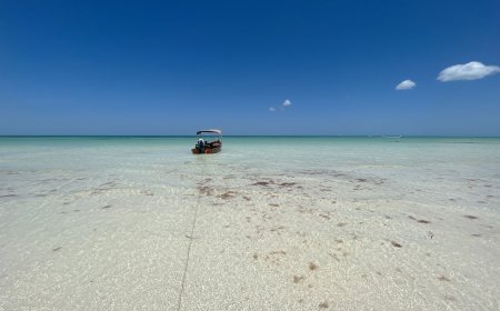 Viaje Sustentable: Trucos para una Experiencia Inolvidable