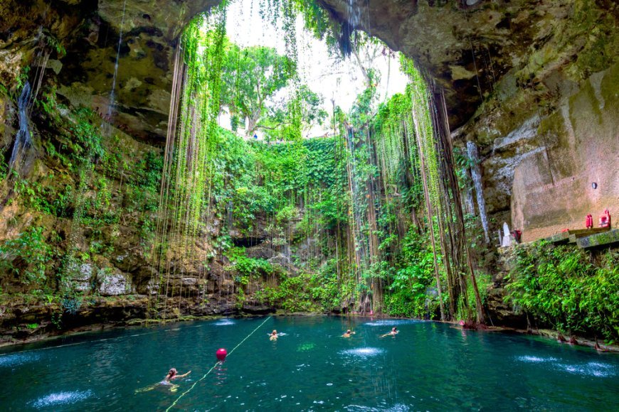 5 Cenotes Imprescindibles en la Península de Yucatán