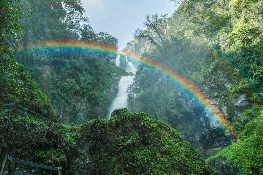 Explora los Manantiales Mágicos de Jicolapa, Puebla.