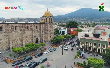 ¡Explora la magia de Tequila, Jalisco!