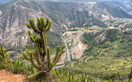 Reserva de la Biosfera Barranca de Metztitlán, Conecta con la Tierra