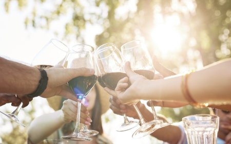 Vitivinicultura en Aguascalientes, vive las vendimias 2023