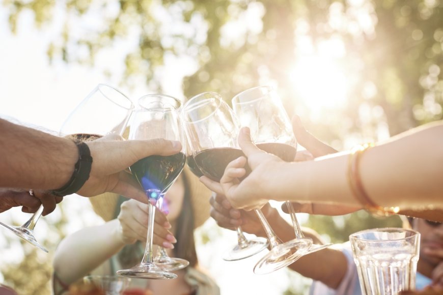 Vitivinicultura en Aguascalientes, vive las vendimias 2023