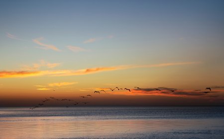 Sumérgete en la joya de Campeche, Playa Bahamitas